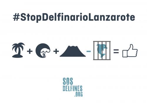 ¡Los delfines te necesitan! Súmate a la campaña #StopDelfinarioLanzarote