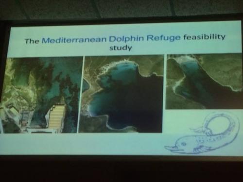 SOSdelfines, presente en la jornada sobre un futuro Refugio para delfines en el mar