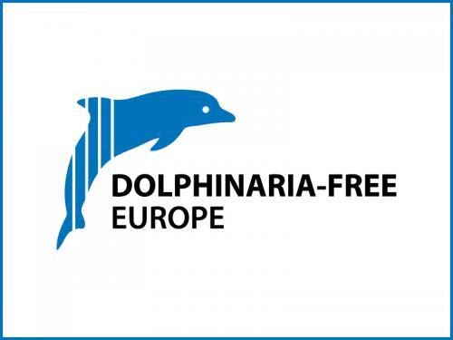 Declaración de Dolphinaria-Free Europe sobre la pandemia COVID-19 y sus impactos en los cetáceos en cautividad