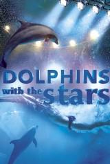 El nuevo reality “Dolphins with the stars” utilizará delfines para el entretenimiento de los telespectadores