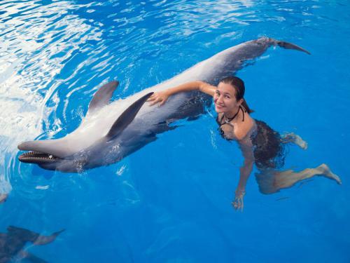 La verdad sobre nadar con delfines