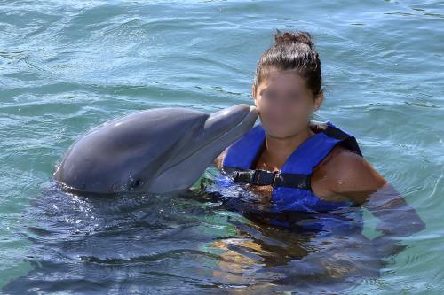Cuestionando la delfinoterapia